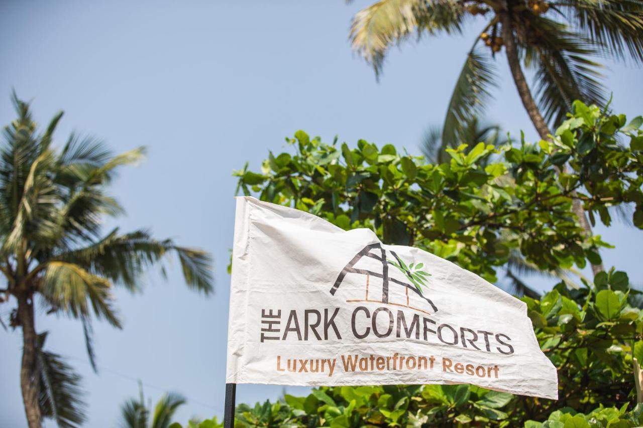 The Ark Comforts بالوليم المظهر الخارجي الصورة
